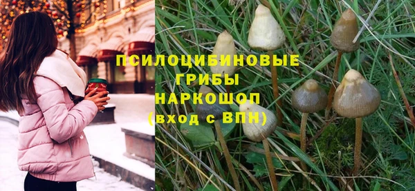 сатива Карпинск