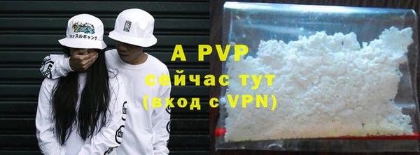 бошки Касимов