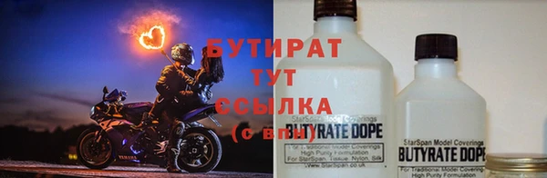 сатива Карпинск