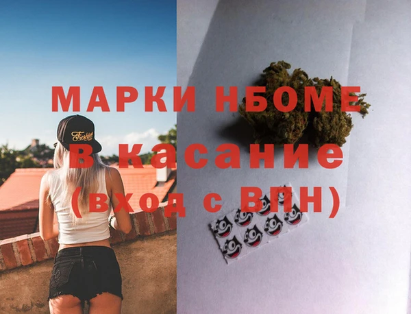 сатива Карпинск