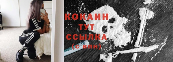 сатива Карпинск