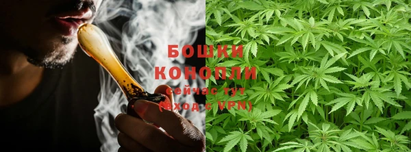 бошки Касимов
