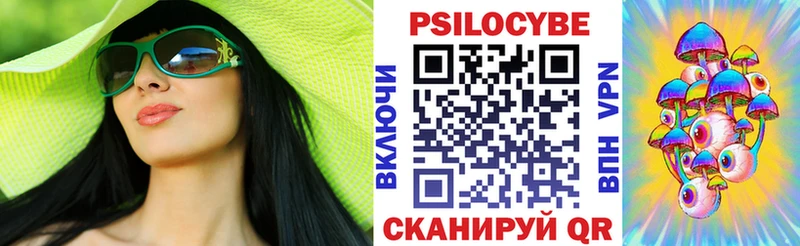 Купить Дмитриев Галлюциногенные грибы ЛСД